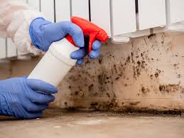 Best Air Quality Testing for Mold Spores in West Kittanning, PA